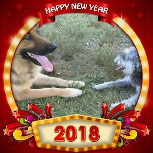 Meet your Posher, Kee ming